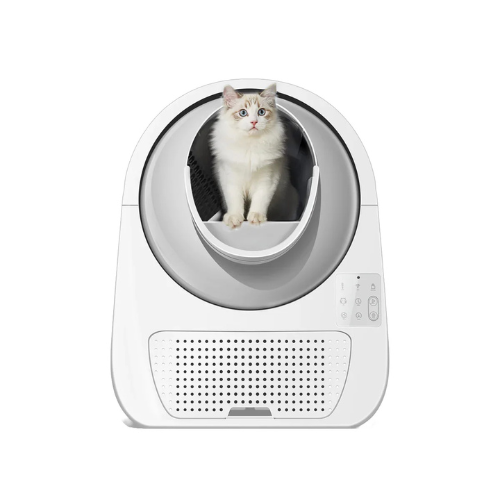 CatSync